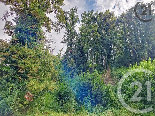 Afficher la photo en grand terrain à vendre - 1360.0 m2 - QUENNE - 89 - BOURGOGNE - Century 21 Martinot Immobilier