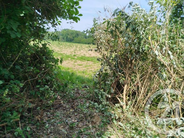 terrain à vendre - 3347.0 m2 - CHARBUY - 89 - BOURGOGNE - Century 21 Martinot Immobilier