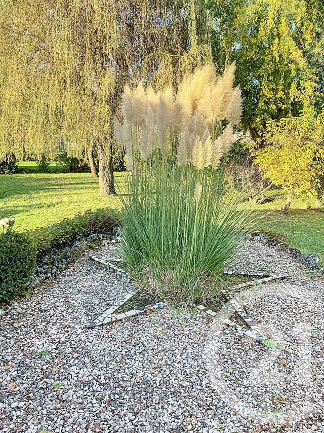 maison à vendre - 7 pièces - 101.42 m2 - ST GEORGES SUR BAULCHE - 89 - BOURGOGNE - Century 21 Martinot Immobilier