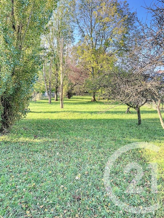 terrain à vendre - 2600.0 m2 - ST GEORGES SUR BAULCHE - 89 - BOURGOGNE - Century 21 Martinot Immobilier