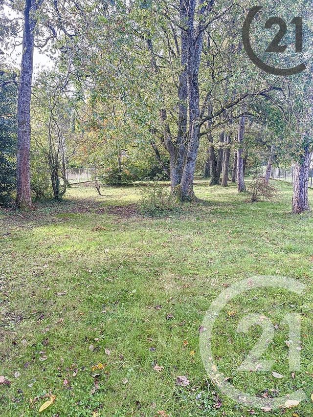 terrain à vendre - 2600.0 m2 - ST GEORGES SUR BAULCHE - 89 - BOURGOGNE - Century 21 Martinot Immobilier