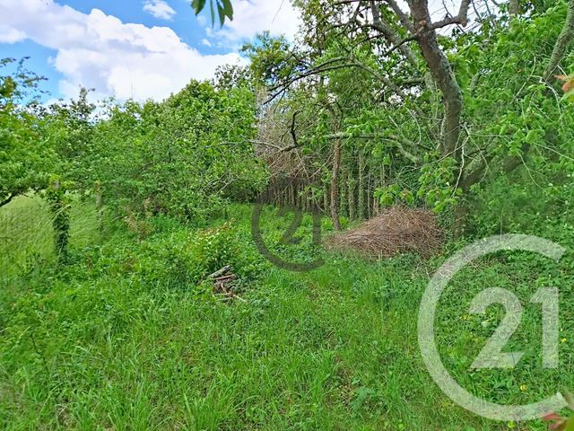 maison à vendre - 10 pièces - 296.81 m2 - ESCAMPS - 89 - BOURGOGNE - Century 21 Martinot Immobilier