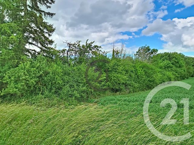 maison à vendre - 10 pièces - 296.81 m2 - ESCAMPS - 89 - BOURGOGNE - Century 21 Martinot Immobilier
