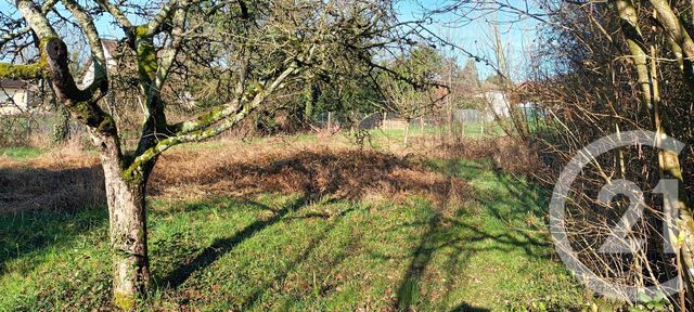 terrain à vendre - 1738.0 m2 - BELLECHAUME - 89 - BOURGOGNE - Century 21 Martinot Immobilier