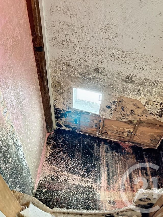 immeuble à vendre - 247.0 m2 - AUXERRE - 89 - BOURGOGNE - Century 21 Martinot Immobilier